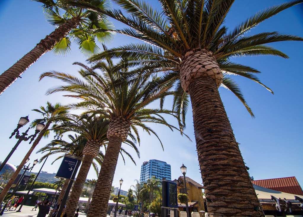 Hilton Angeles-universal 4*